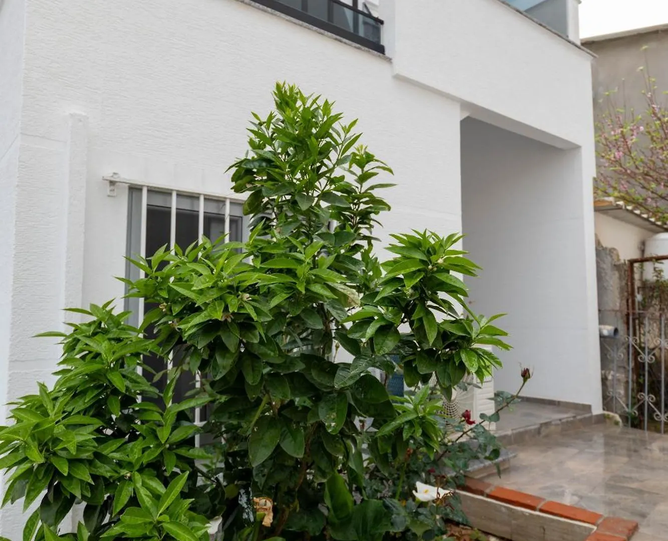 Guest house Vila Lubora Ksamil