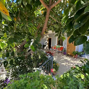 Albi's Guest house